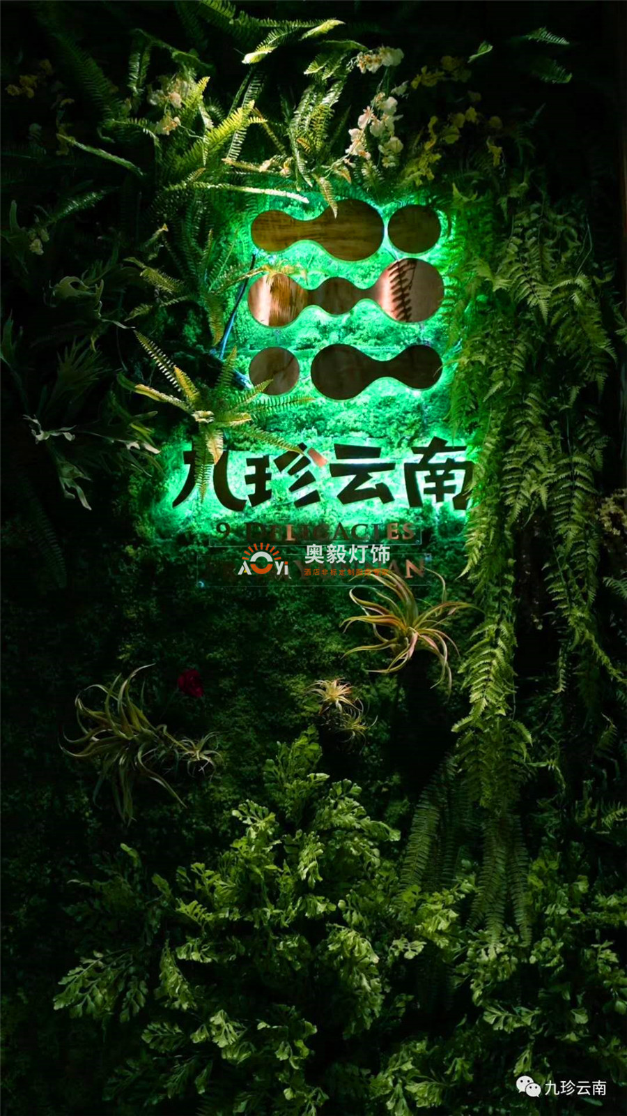 半岛app下载体育
工程案例 | 九珍云南音乐餐吧